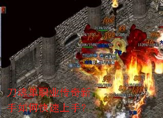 ���굥ְҵ����������ο������֣�