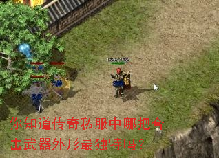 ��֪������˽�����İѺϻ����������������