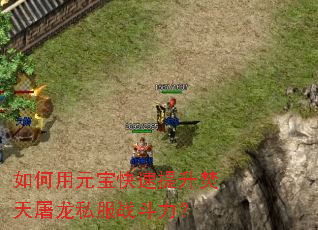 �����Ԫ������������������˽��ս������