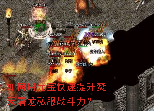 �����Ԫ������������������˽��ս������