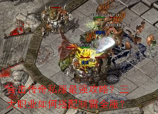 �ϻ�����˽����ǿ���ԣ�����ְҵ��δ����ư�ȫ����