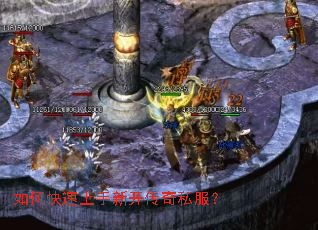 ��ο��������¿�����˽����