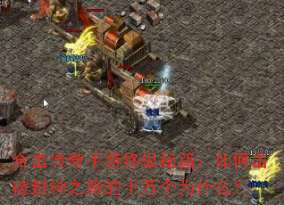 �ϻ����������ռ��ؼ�����λ��Ʒ���֮·��ʮ���Ϊʲô��