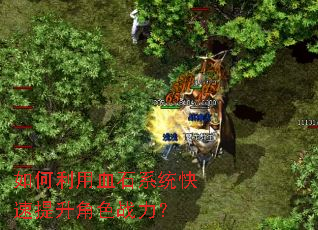 �������Ѫʯϵͳ����������ɫս����