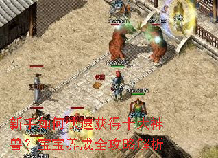 ������ο��ٻ��ʮ�����ޣ���������ȫ���Խ���