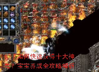 ������ο��ٻ��ʮ�����ޣ���������ȫ���Խ���