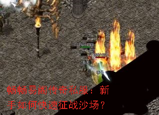 �����׸���˽����������ο�����սɳ����