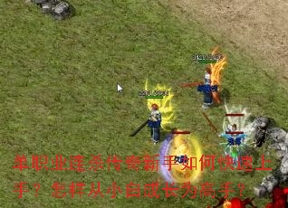 ��ְҵ��ɱ����������ο������֣�������С�׳ɳ�Ϊ���֣�