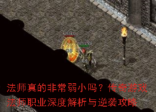 ��ʦ��ķǳ���С�𣿴�����Ϸ��ʦְҵ��Ƚ�������Ϯ����