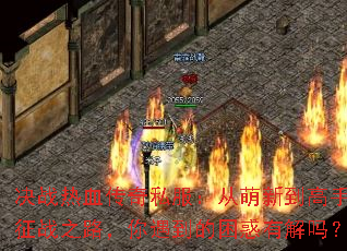 ��ս��Ѫ����˽���������µ����ֵ���ս֮·���������������н���