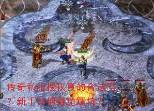 ����˽����Ȩ��ĺϷ���������α���ȿӣ�