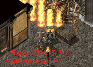 ��γ�Ϊ����˽���¿���������Ŀ�Ķ������֣�