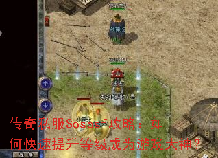 ����˽��Sososf���ԣ���ο��������ȼ���Ϊ��Ϸ����