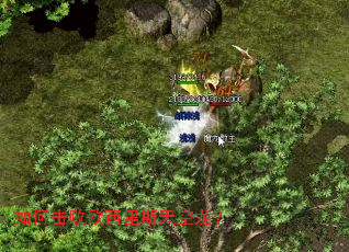 ��λ���ŷ����˹�������