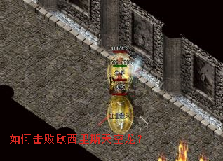 ��λ���ŷ����˹�������