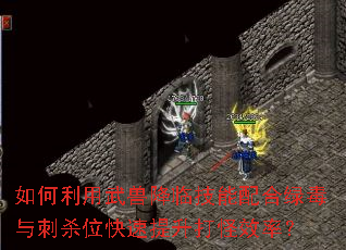 ����������޽��ټ�������̶����ɱλ�����������Ч�ʣ�