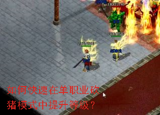 ��ο����ڵ�ְҵ����ģʽ�������ȼ���