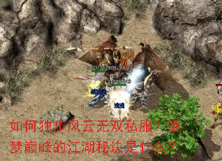 ��ζ���������˫˽���������۷�Ľ����ؾ���ʲô��