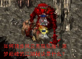 ��ζ���������˫˽���������۷�Ľ����ؾ���ʲô��