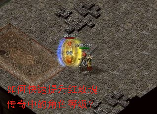 如何快速提升红玫瑰传奇中的角色等级? 如何快速提升红玫瑰传奇中的角色等级?