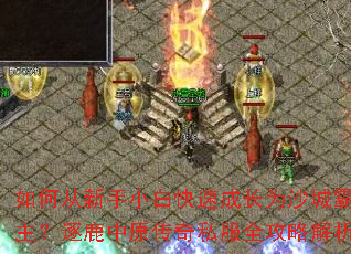 ��δ�����С�׿��ٳɳ�Ϊɳ�ǰ�������¹��ԭ����˽��ȫ���Խ���