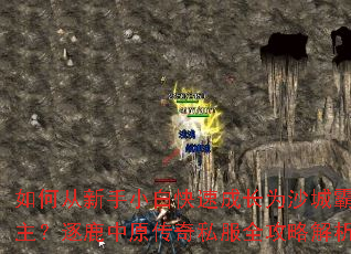 ��δ�����С�׿��ٳɳ�Ϊɳ�ǰ�������¹��ԭ����˽��ȫ���Խ���