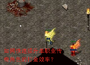 ��ο���������ְҵ�����ɫ�Ĵ��Ч�ʣ�