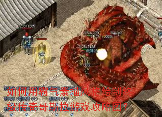 ����ð�������������ռ������˹����Ϸ����ͼ��