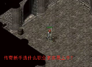 ��������ѡʲôְҵ���������֣�