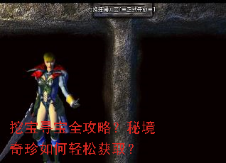 挖宝寻宝全攻略?秘境奇珍如何轻松获取? 挖宝寻宝全攻略?秘境奇珍如何轻松获取?