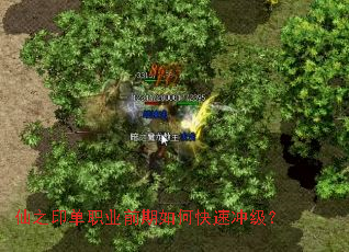 仙之印单职业前期如何快速冲级? 仙之印单职业前期如何快速冲级?