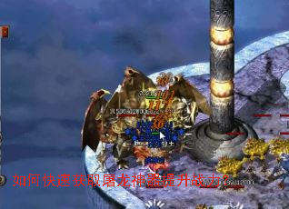 ��ο��ٻ�ȡ������������ս����