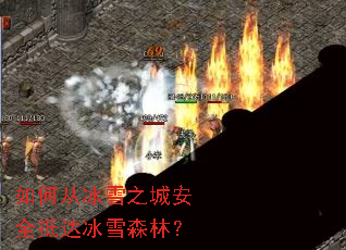 ��δӱ�ѩ֮�ǰ�ȫ�ִ��ѩɭ�֣�