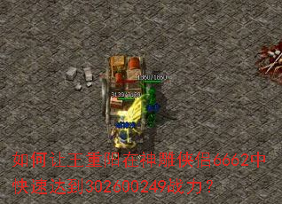 ��������������������6662�п��ٴﵽ302600249ս����