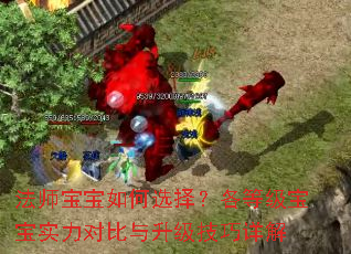 ��ʦ�������ѡ�񣿸��ȼ�����ʵ���Ա��������������