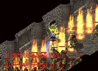 ʥ�洫˵��ְҵ������ο�������ս����