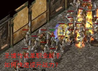 ʥ�洫˵��ְҵ������ο�������ս����