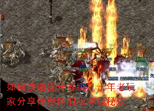 如何快速提升等级?十年老玩家分享传奇怀旧服冲级秘诀 如何快速提升等级?十年老玩家分享传奇怀旧服冲级秘诀