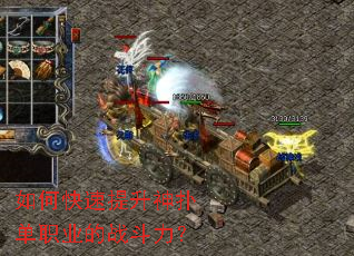 ��ο����������˵�ְҵ��ս������