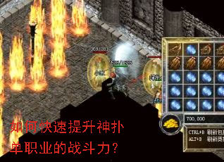 ��ο����������˵�ְҵ��ս������