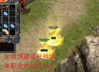 ��ο����������˵�ְҵ��ս������