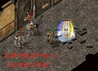 ��ο���������ʿ2.0˽����ɫ�ȼ���