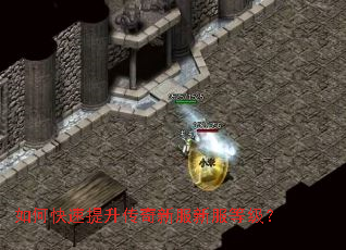 ��ο������������·��·��ȼ���