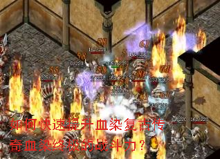 ��ο�������ѪȾ���Ŵ���ѪȾ�ռ���ս������