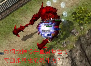 ��ο�������ѪȾ���Ŵ���ѪȾ�ռ���ս������