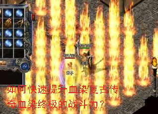 ��ο�������ѪȾ���Ŵ���ѪȾ�ռ���ս������