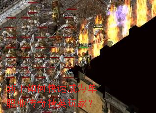 ������ο��ٳ�Ϊ��ְҵ���澫Ӣ��ң�