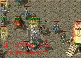 ������ο��ٳ�Ϊ��ְҵ���澫Ӣ��ң�