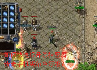 ��ο�������ɱ���ħ�����ֻ����ɫ�ȼ���