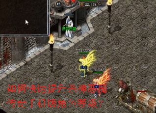 ��ο�������ɱ���ħ�����ֻ����ɫ�ȼ���